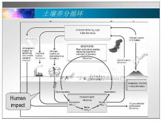 养分循环英语缩写及其重要性概述