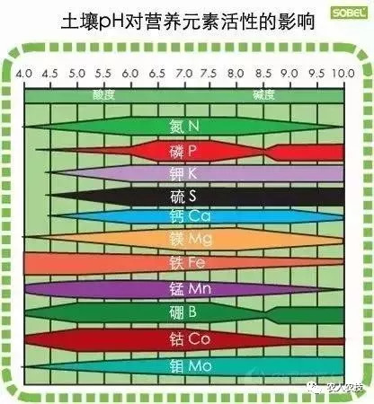 土壤酸碱度对植物生长的关键影响与重要性分析