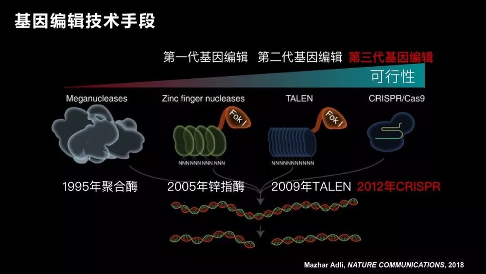 基因编辑，伦理与科技的交锋——人类利与弊的探讨