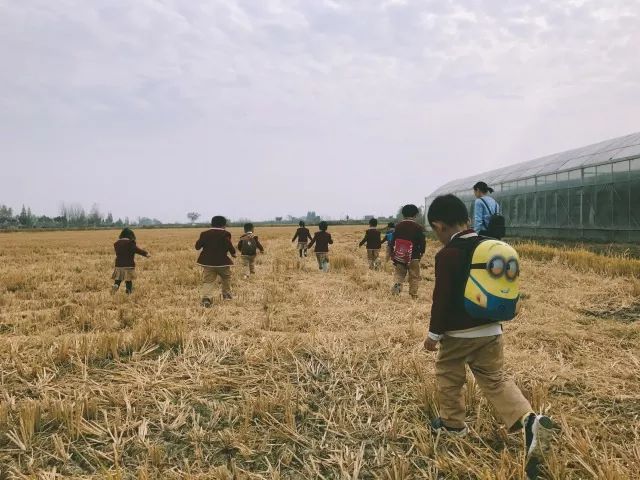 野外农场发电，可持续性与挑战并存的发展模式探索