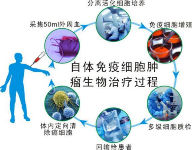 细胞QPCR实验详解，从实验原理到操作过程全解析