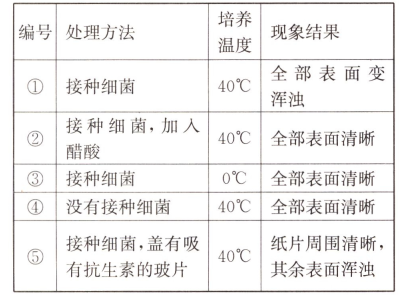 细菌接种的正确读音与相关知识解析