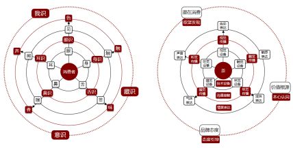 霍知月笔下的共生关系深度解读