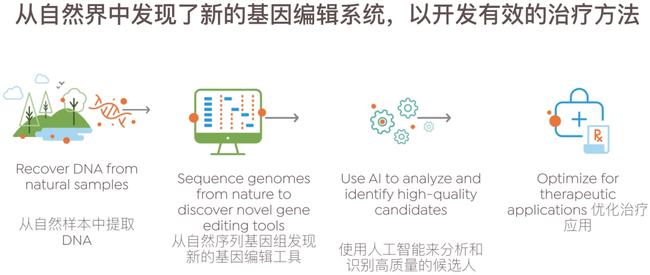 基因编辑揭秘，生命科学之门开启