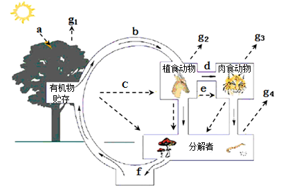 生态系统养分循环的概念、意义与重要性解析