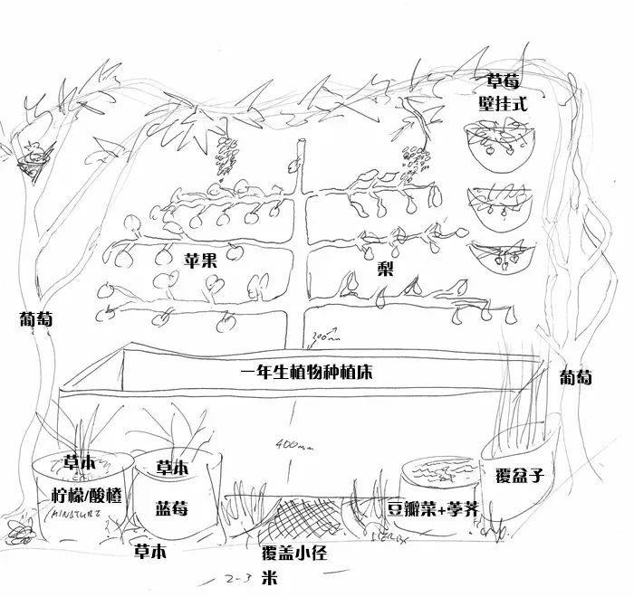 植物工厂设计图简单学生版绘制指南教程