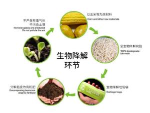 生物降解薄膜关键物质成分解析揭秘，三大要素深度解读