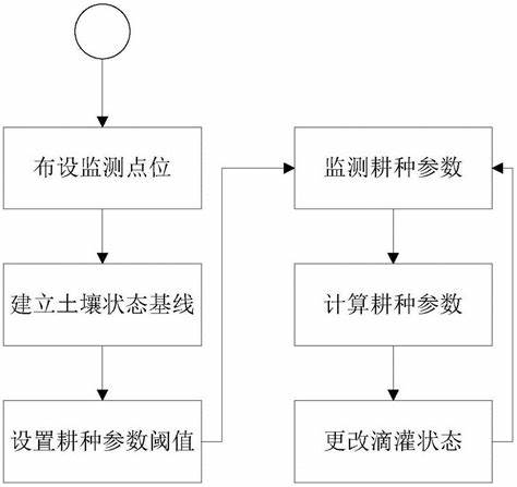 土壤监测方案全面解读，设计步骤、要点及注意事项