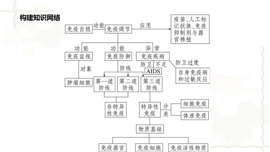 免疫调节知识导图，掌握免疫系统核心要素的全面理解