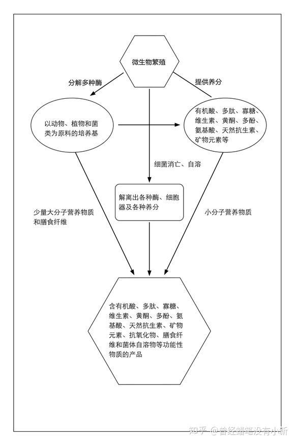 图解，菌种培养全流程详解