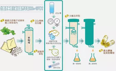 超临界提取技术，革命性进展助力提高提取物纯度