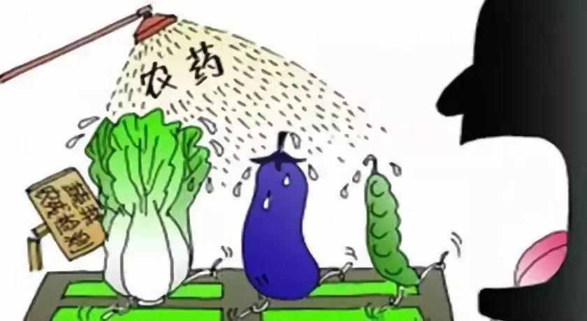 生物农药的危害与影响，全面解析及应对策略