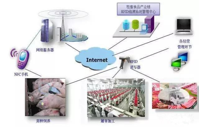 物联网养殖三大原则及实践应用解析