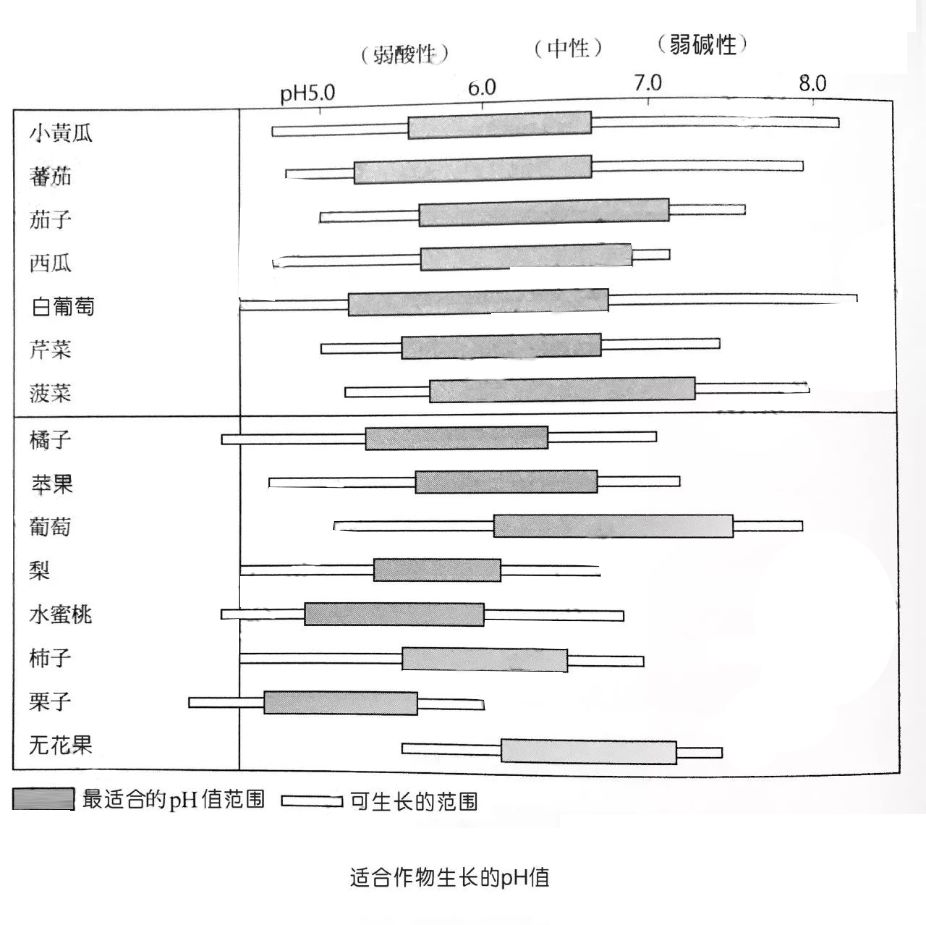 土壤pH值测定实验步骤详解