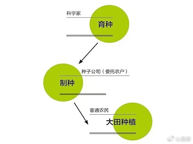 作物遗传育种就业前景及薪资分析概述