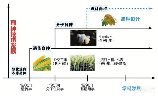 农作物种植策略模型与现代农业智能化决策工具探索