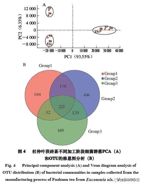 深度解析，生物活性成分与有效成分的关系及应用理解