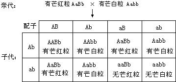 农作物育种目标性状全面解析