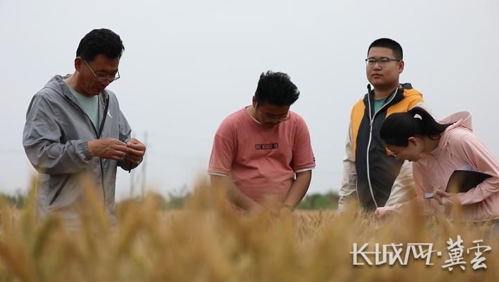 智能浇花调研，探索现代花园智能化管理路径