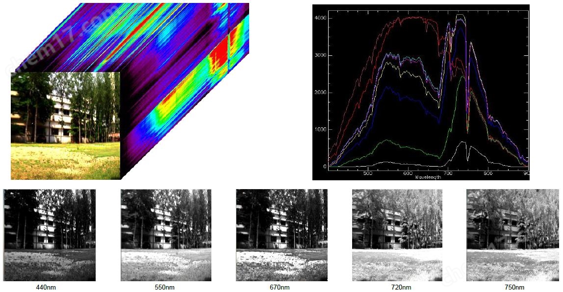 成像光谱技术，揭示现代科技新视界之谜