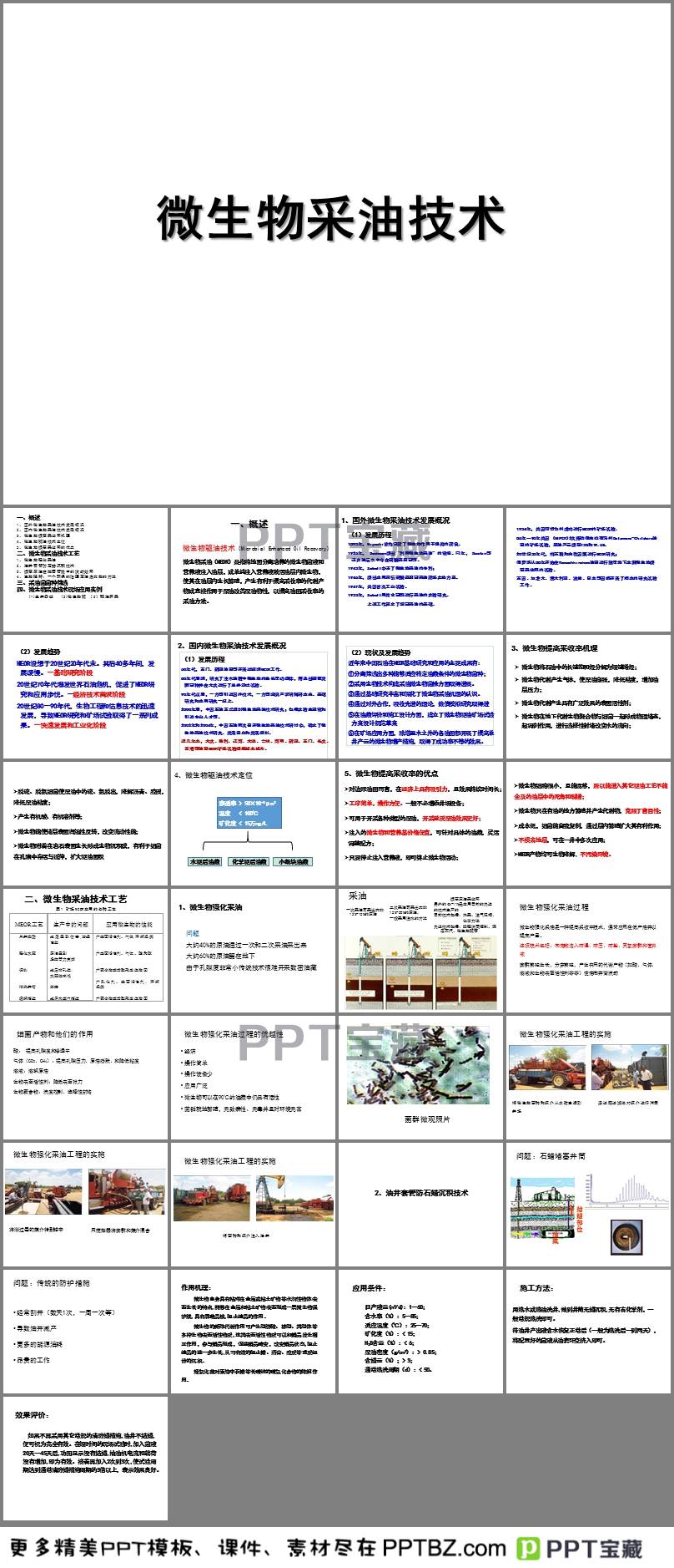 微生物菌种筛选方案，设计与实施策略