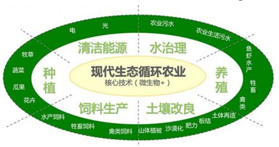 农业绿色发展概念解析