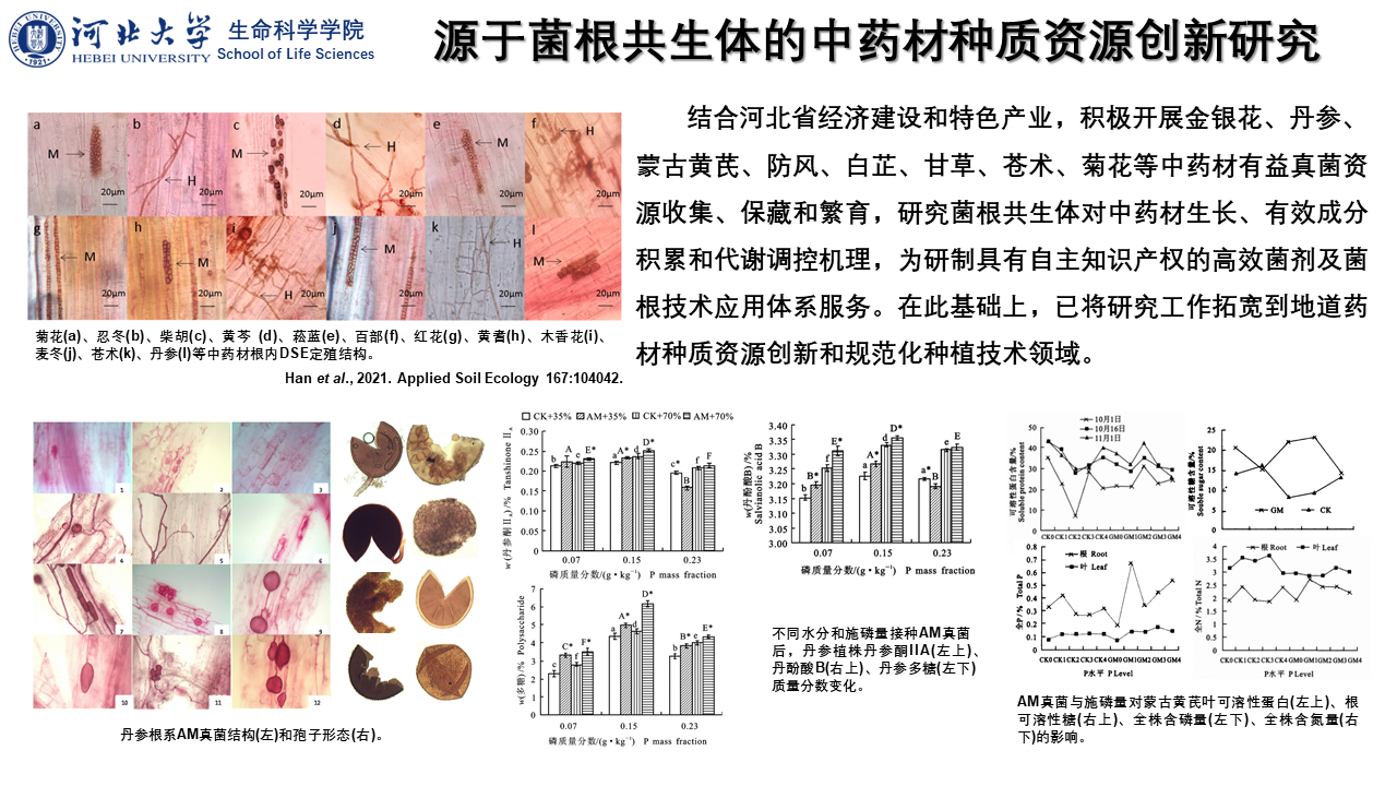 菌种资源的开发与利用实验研究报告