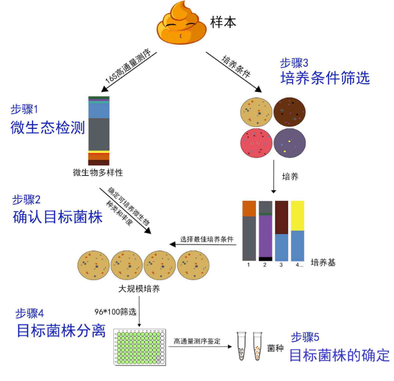 菌种筛选实践探索，课程设计的新视角