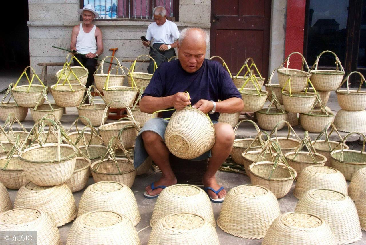 大自然的宝藏探索，100种无毒蘑菇图片大全及名称一览