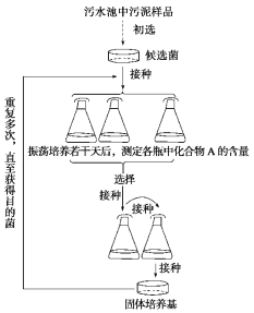 菌种筛选实验方案设计步骤详解