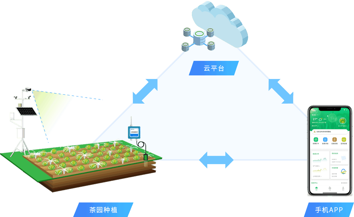 智能化农作物生长数据采集系统，开启农业新时代篇章