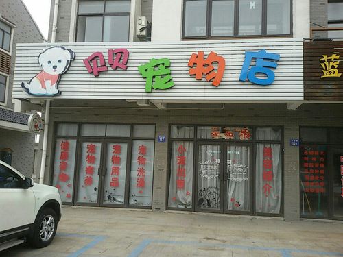 附近宠物店一站式服务，宠物便利之旅启程！