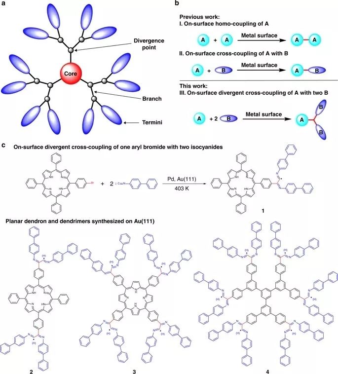 树枝状大分子的独特性质及功能解析