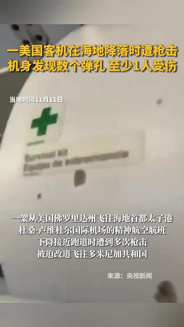 美国客机遭枪击，航空安全面临严峻挑战，机身被打穿