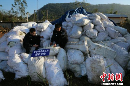 跨国走私洋垃圾黑色产业链内幕揭秘，守护绿色家园行动告捷