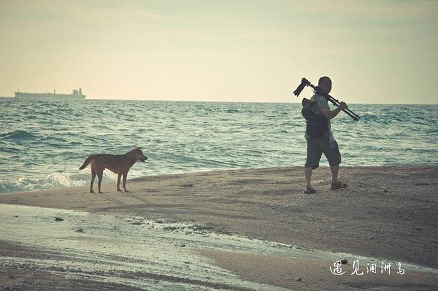 海行，揭秘海洋的无穷魅力