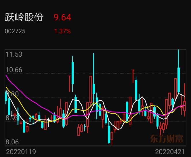 跃岭股份，独特企业成长路径的探索者