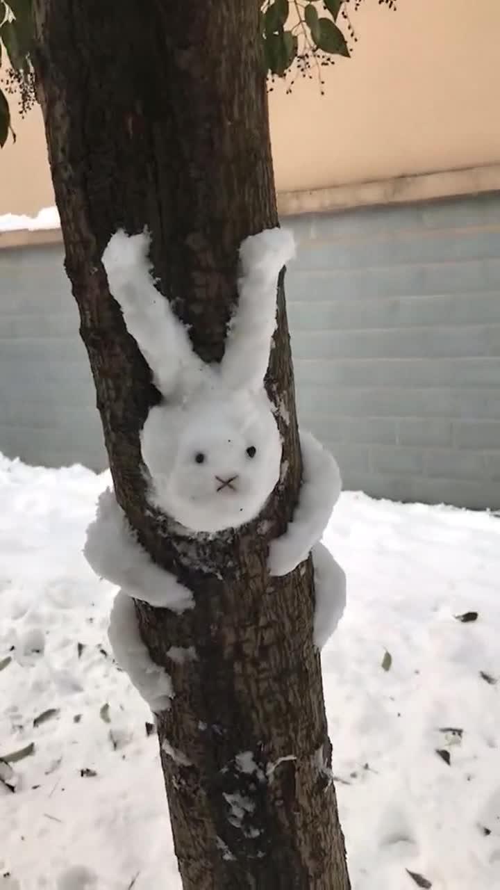 可爱雪的奇妙探险之旅