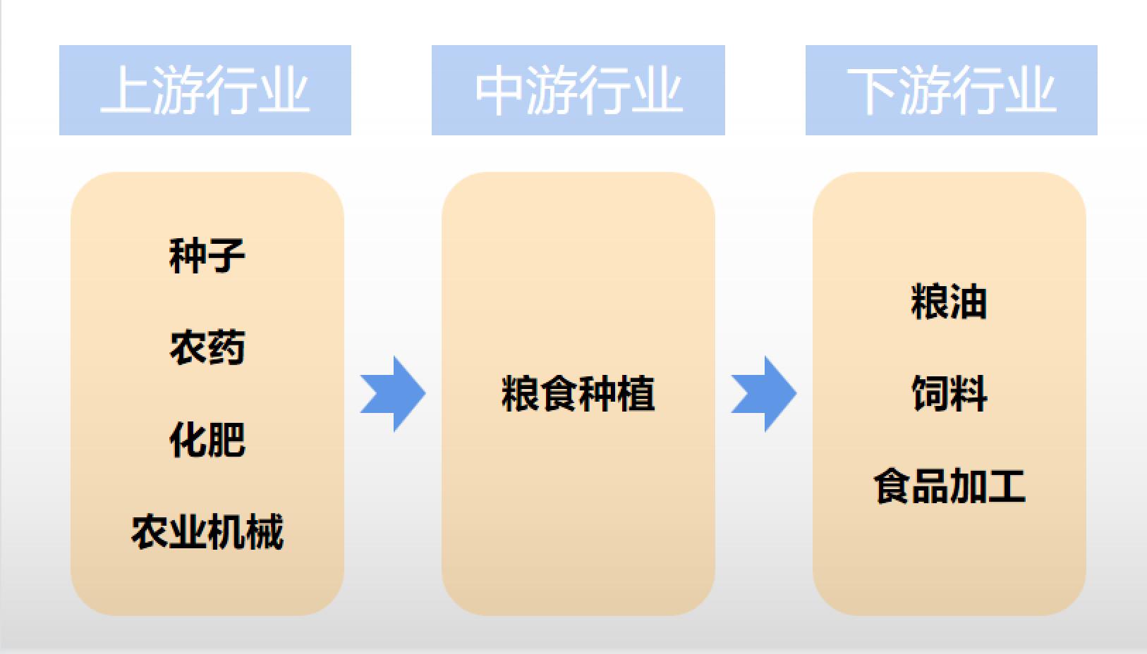 农食产业链韧性指标，构建可持续农业供应链的关键要素解析