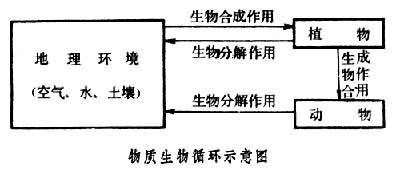 关于九龙 第19页