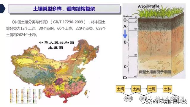 土壤分析的重要性及其多方面影响，对农业、生态和环境的影响探讨