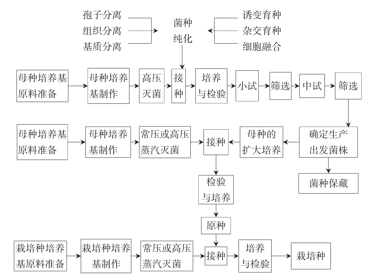 菌种扩大培养，目的与意义解析