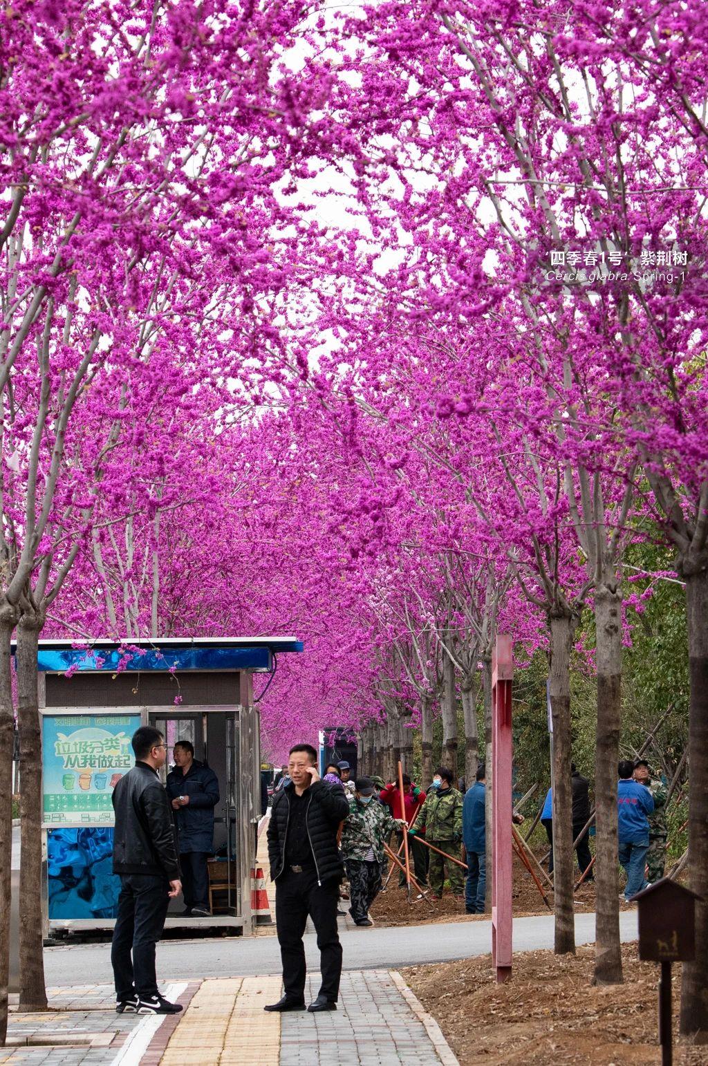 她有他°我有什么ら