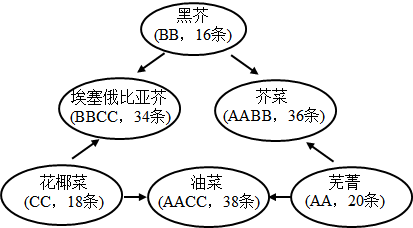 在线留言 第13页