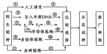 作物育种方式的探索与创新，创新策略与实践研究