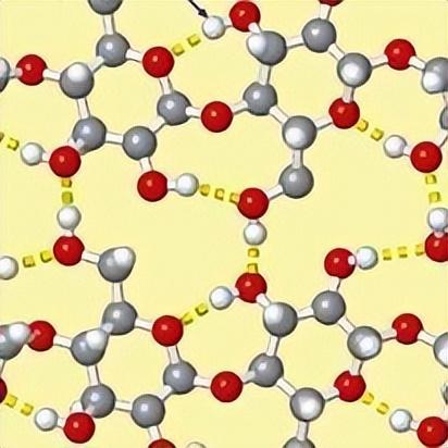 深度解析生物活性含义及应用领域探索