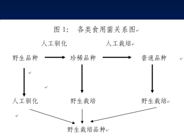 食用菌的生活史及其在农产品中的关键地位解析