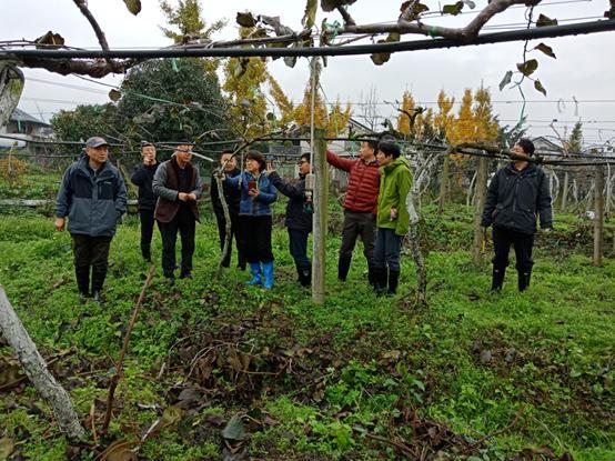 土壤健康，生态生命的基石与农业可持续发展的希望之源