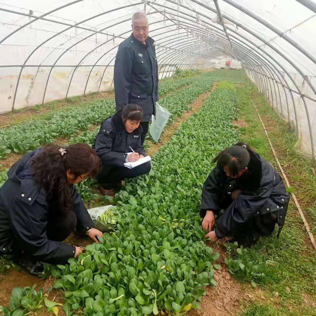 种植合作社年度工作总结报告，回顾与反思