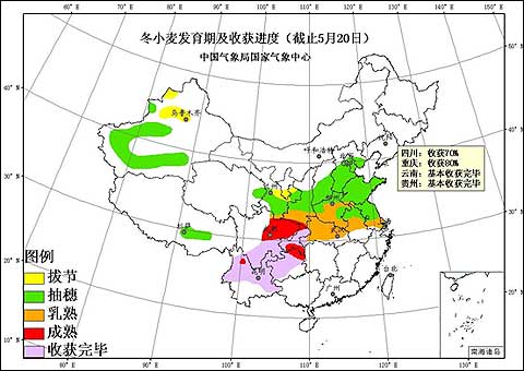 农业气象与城市天气预报融合，高质量天气预报在现代生活中的重要性探索